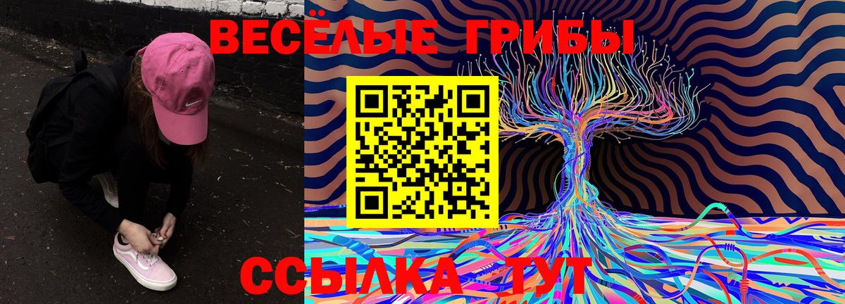 Галлюциногенные грибы Psilocybine cubensis  Вход с VPN  Ижевск 