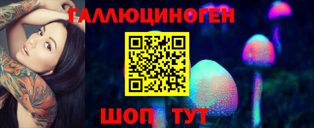 Меф Ижевск